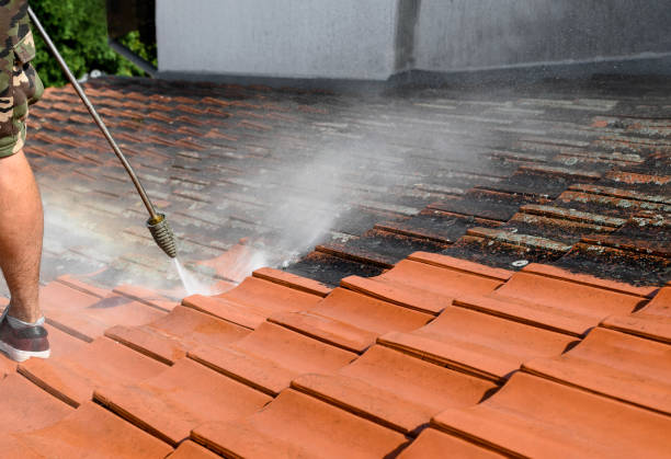 Best Pressure Washing Company Near Me  in Roscoe, TX