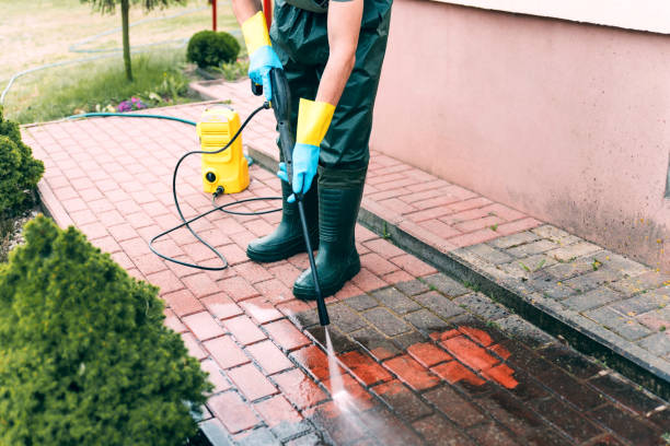 Best Local Pressure Washing Services  in Roscoe, TX