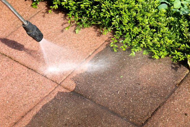 Best Residential Pressure Washing Services  in Roscoe, TX